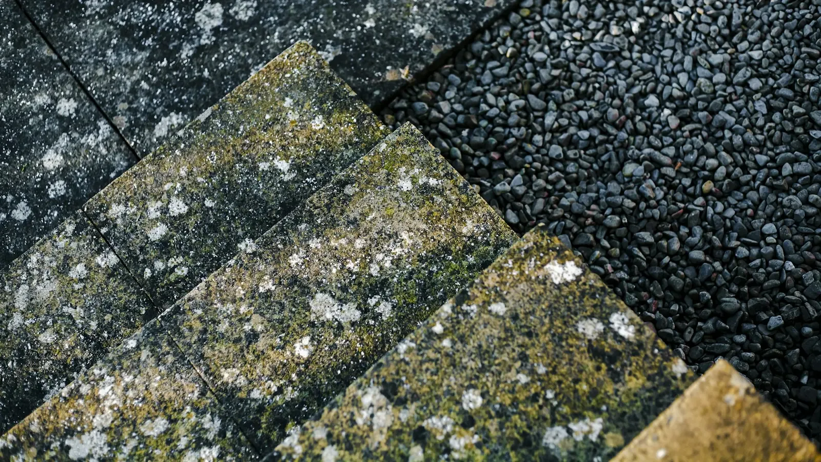 Flat Roof Repair